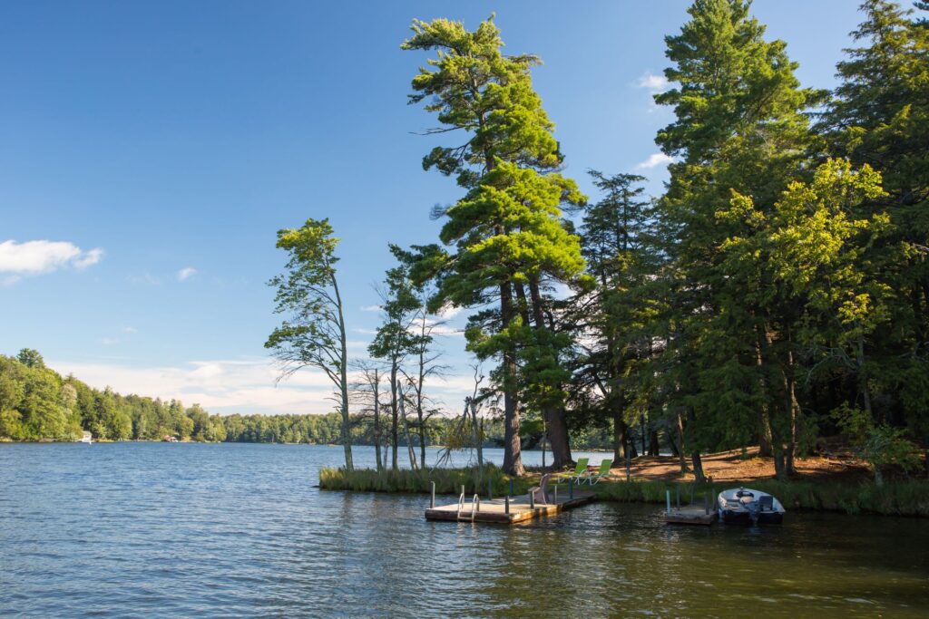 lake with a dock